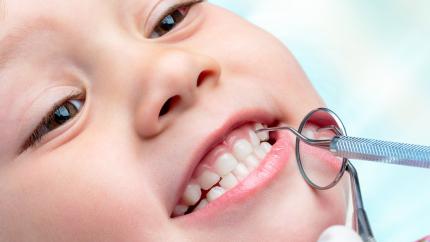 Denti da latte radici