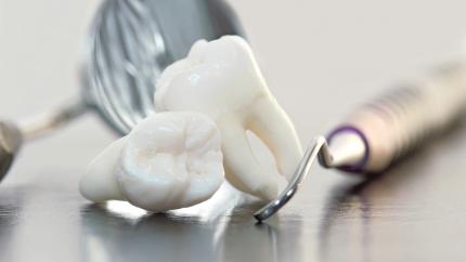 Polpa dentale