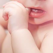 Denti da latte